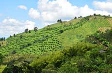 Vol en parapente au-dessus de l'Eje Cafetero