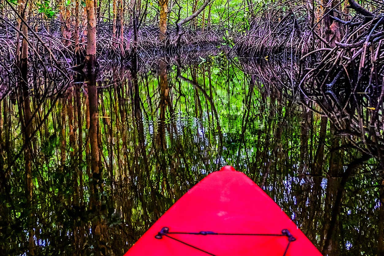 Tour en kayak por los manglares de San Andrés