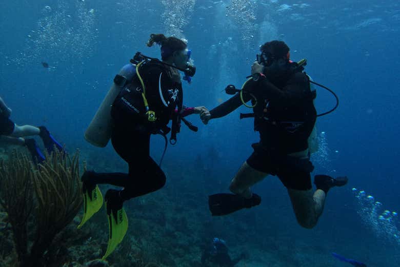 Poniendo en práctica el aprendizaje del curso de buceo - Poniendo en práctica el aprendizaje del curso de buceo