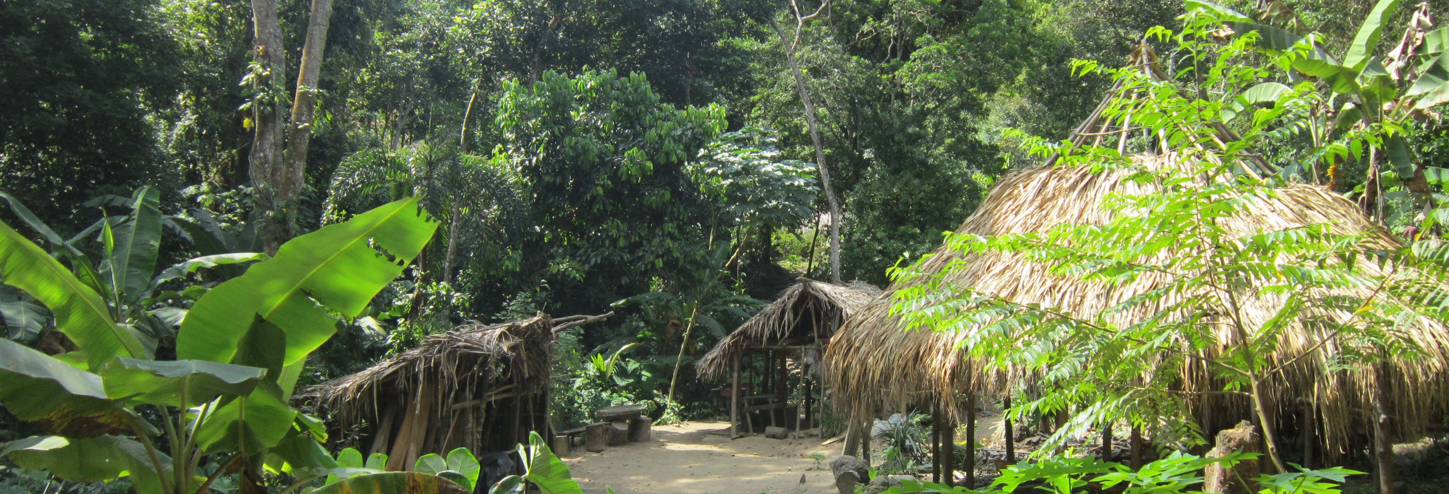 Excursión al Pueblo Taykú desde Santa Marta