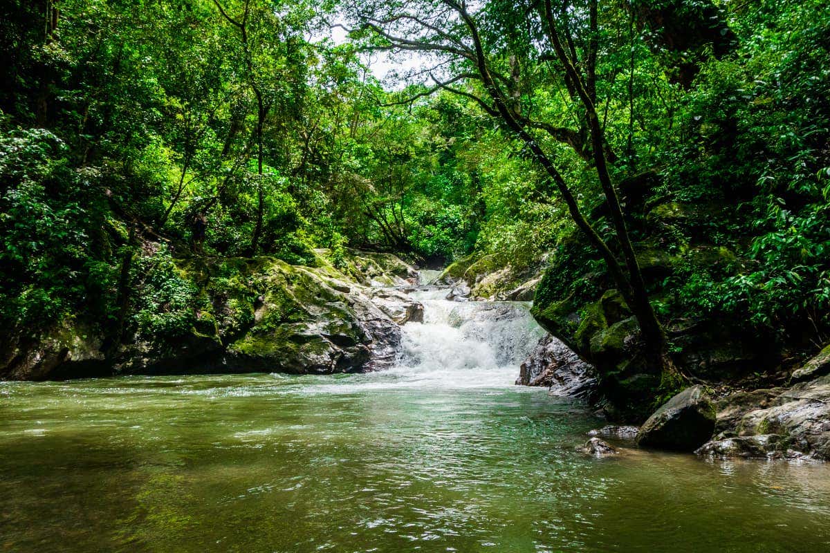 Excursión a Minca desde Santa Marta