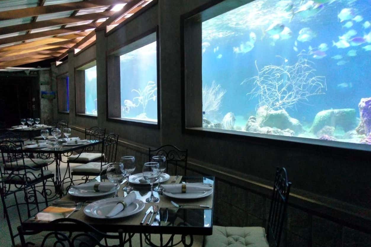 Cena en el Acuario Rodadero desde Santa Marta