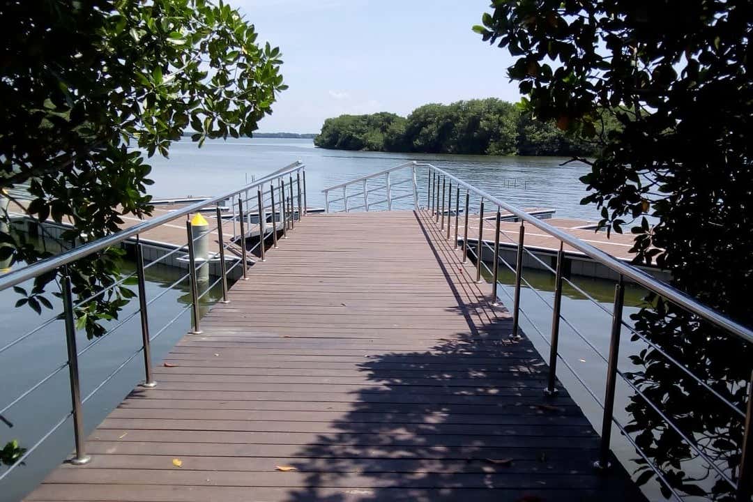 Excursión a la Ciénaga Grande de Santa Marta