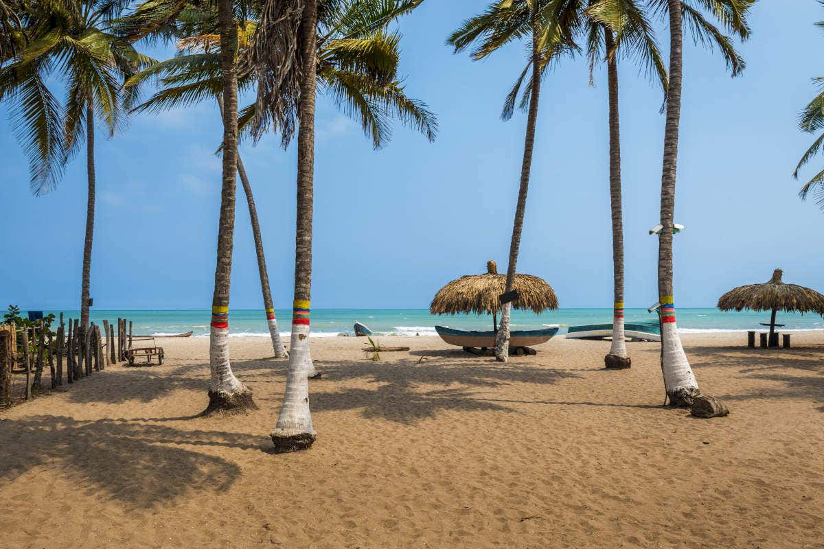 Excursión a Palomino desde Santa Marta