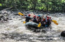Rafting on the Negro River
