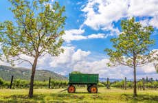Visite du Vignoble Marquis Villa de Leyva