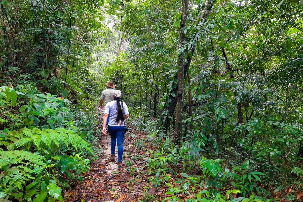 Avistamiento de aves en Villavicencio
