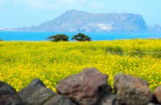 Excursão a Seogwipo