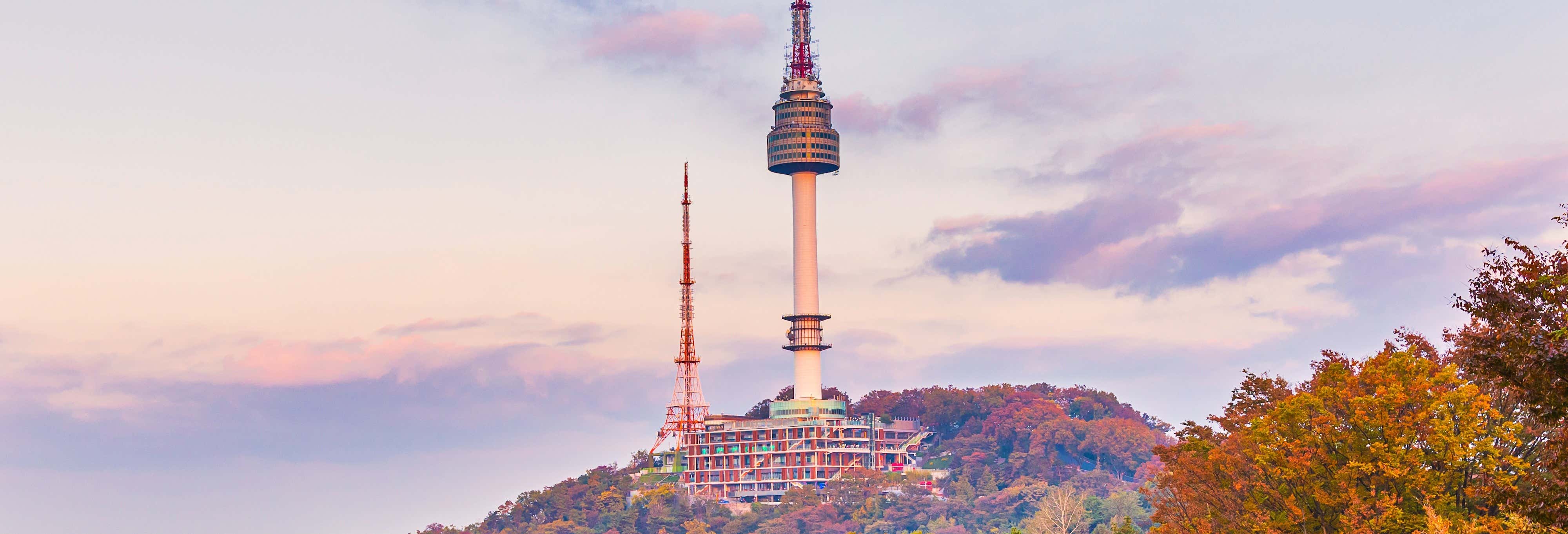 Billet pour la N Seoul Tower