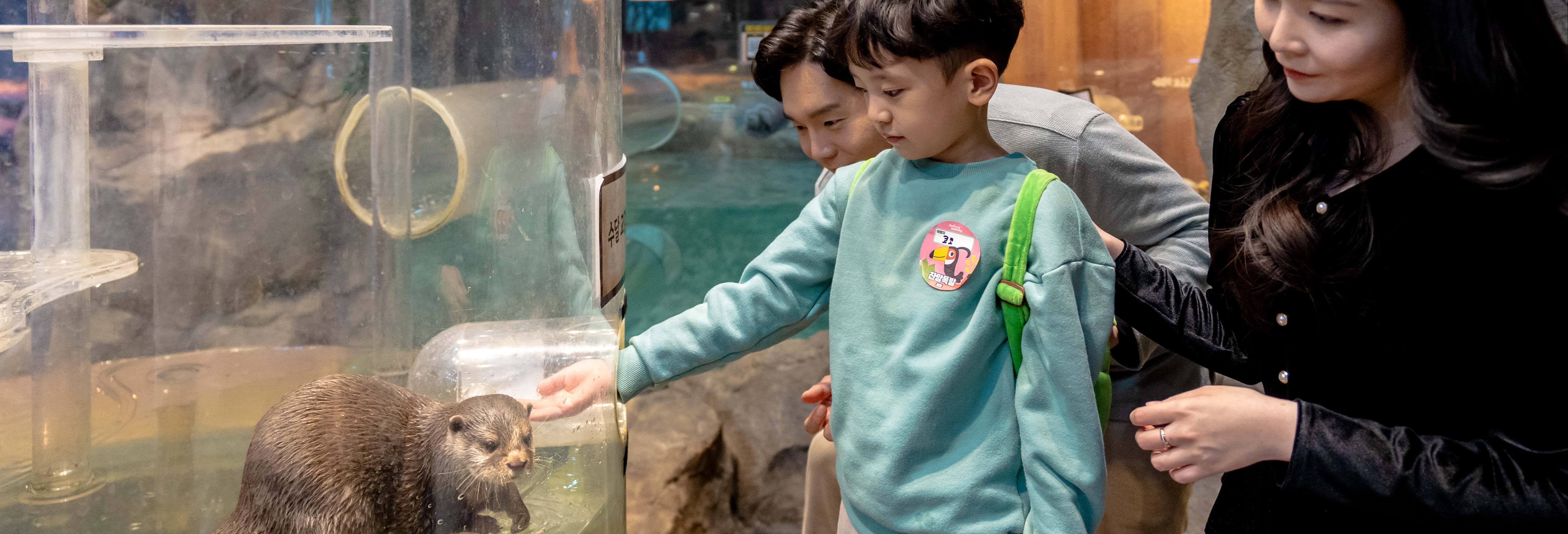 Billet pour le Zoolung Zoolung
