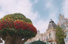 Everland Trip