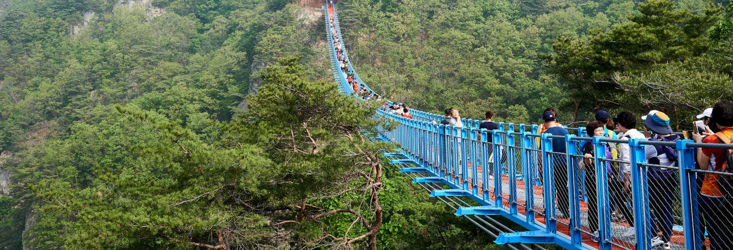 Excursión a Wonju
