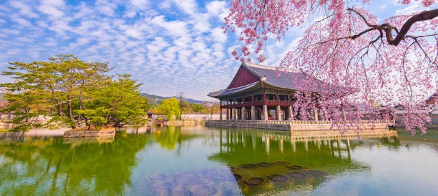 Gyeongbokgung Palace Tour