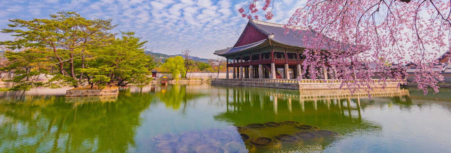 Visite guidée du Palais Gyeongbokgung