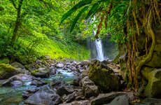 Excursão à Catarata La Fortuna e ao Vulcão Arenal