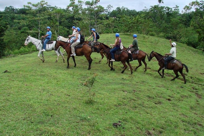 Da un tranquilo paseo a caballo por la selva de Costa Rica