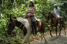 Passeio a cavalo à Catarata La Fortuna