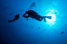 Scuba Diving on Isla del Caño