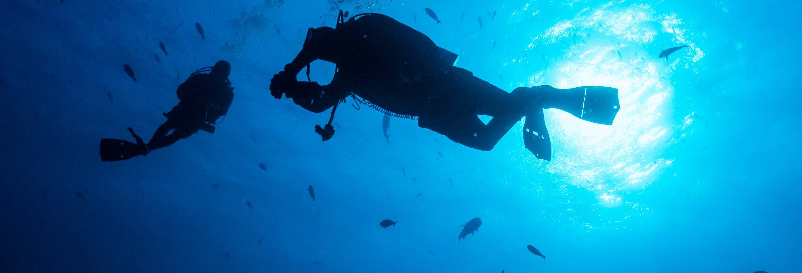 Buceo en la Isla del Caño desde Bahía Drake