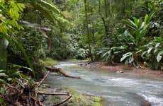 Excursión al Parque Nacional Corcovado