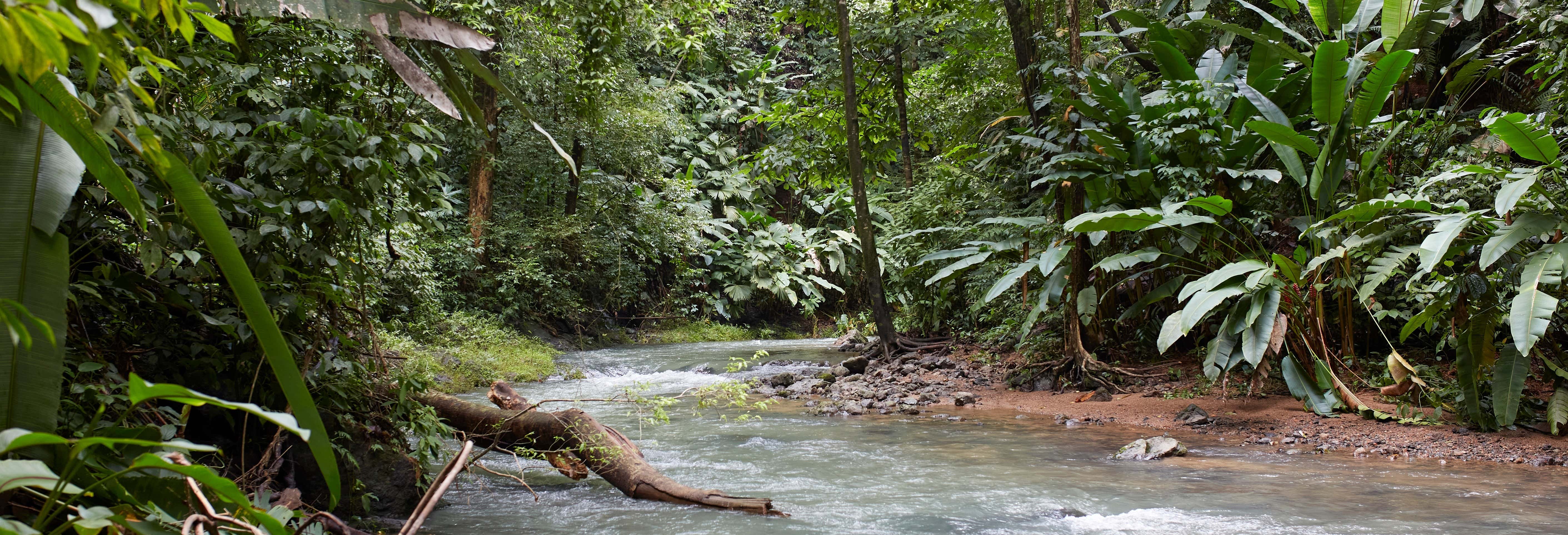 Excursión al Parque Nacional Corcov desde Bahía Drake