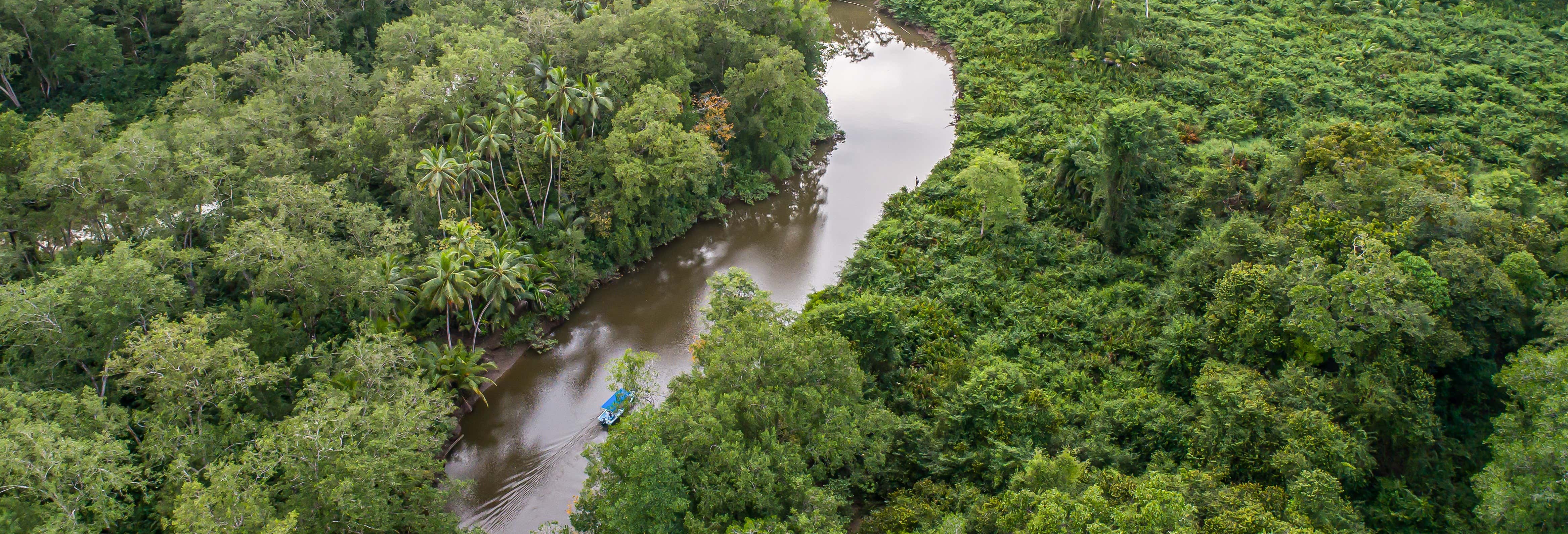 Tour en kayak por los manglares del río Sierpe desde Bahía Drake