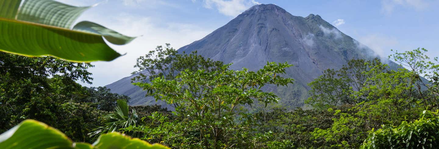 Excursión al volcán Arenal + Aguas termales
