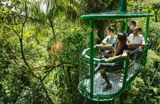 Ingresso do parque de aventuras Rainforest Atlantic