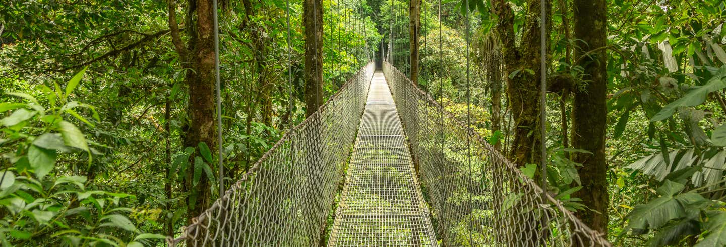 Teleférico y tirolina en el Rainforest Pacific Park