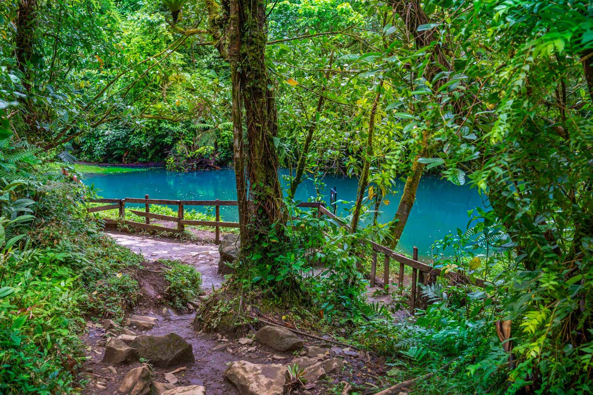 Rainforest hiking and the extraordinary color of Río Celeste