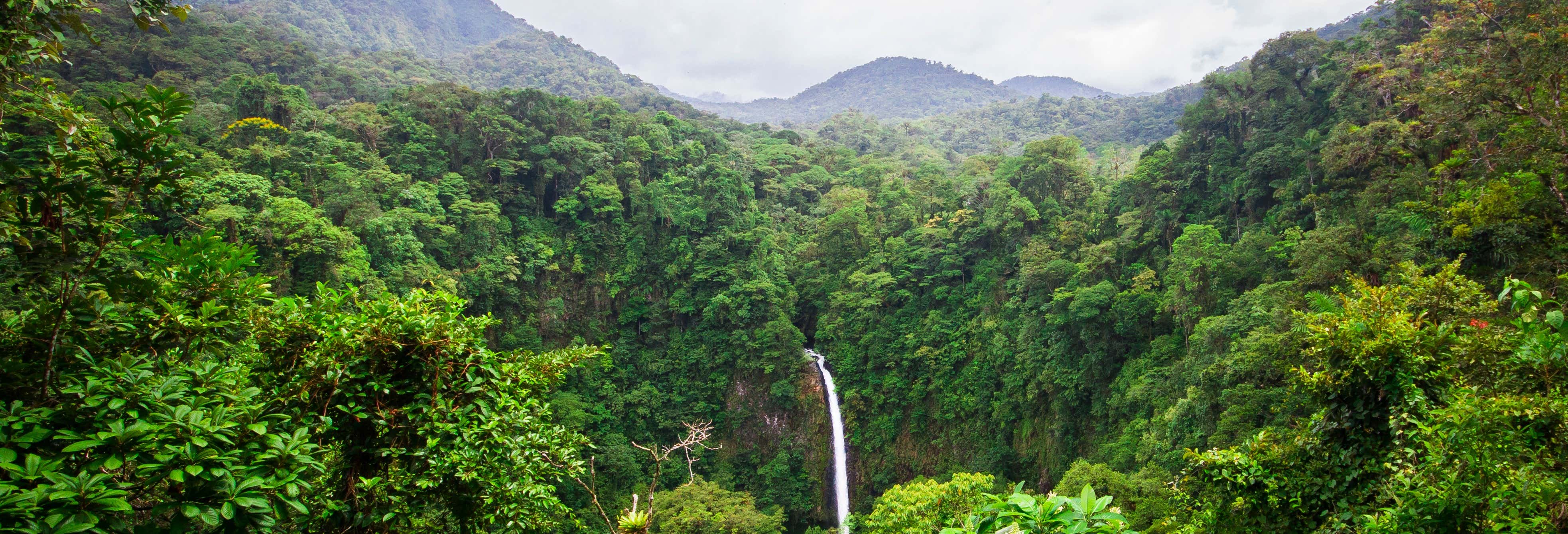 Rápel en Arenal desde La Fortuna