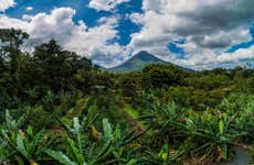 Costa Rican Coffee & Chocolate Tour