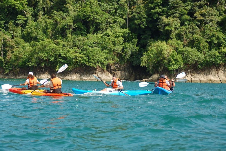 Navega en kayak por la costa del océano Pacífico