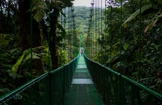 Excursión a Selvatura Park Monteverde