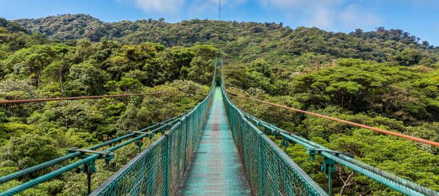 Excursión al Bosque Nuboso Monteverde