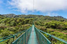 Excursión al Bosque Nuboso Monteverde