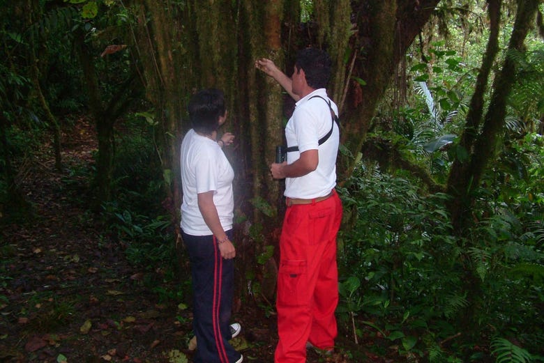 Explorando en el Bosque Nuboso Monteverde