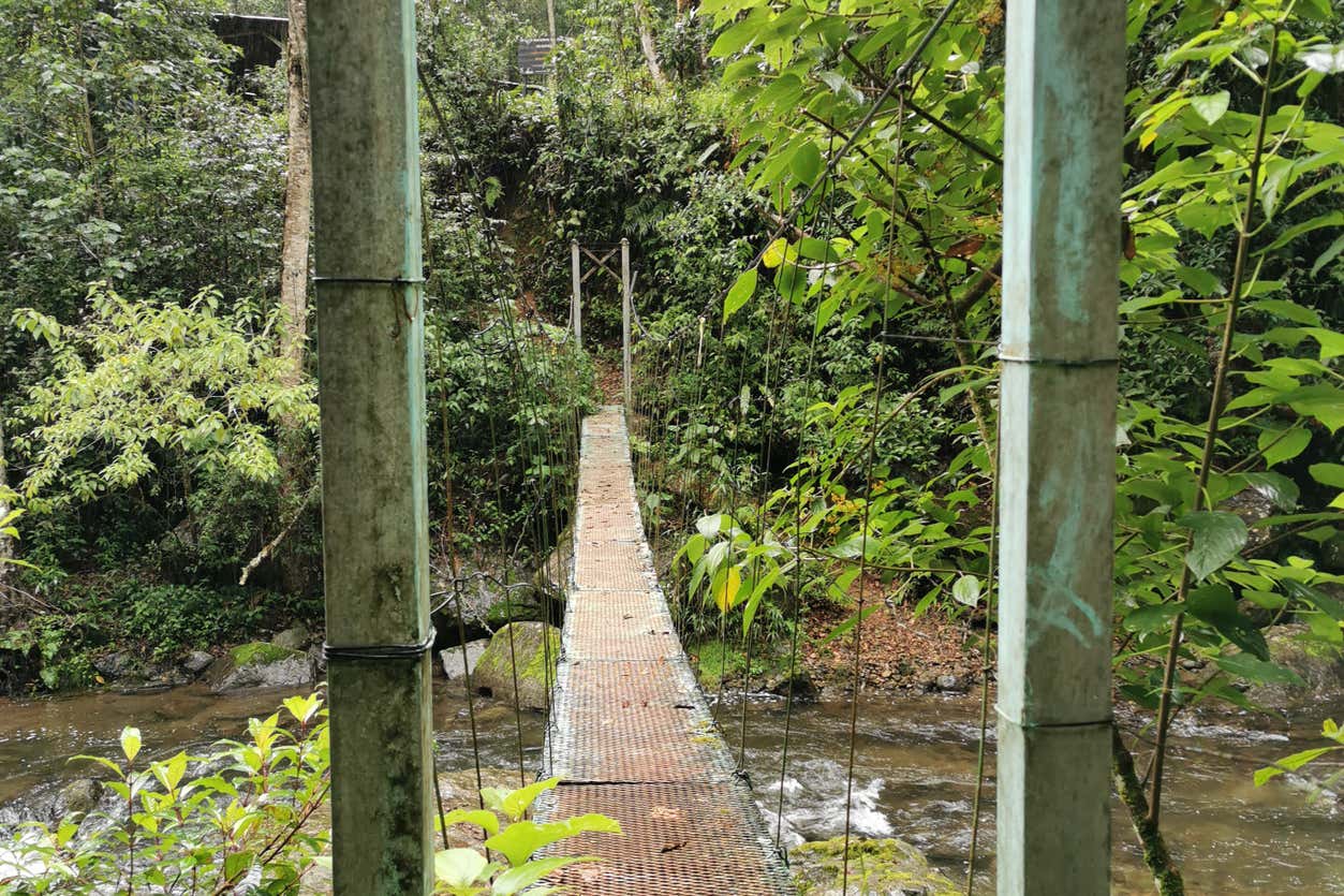 Excursión de Trekking de 4 días por el Parque Nacional Los Quetzales desde San Gerardo de Dota