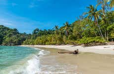 Excursión al Parque Nacional Manuel Antonio