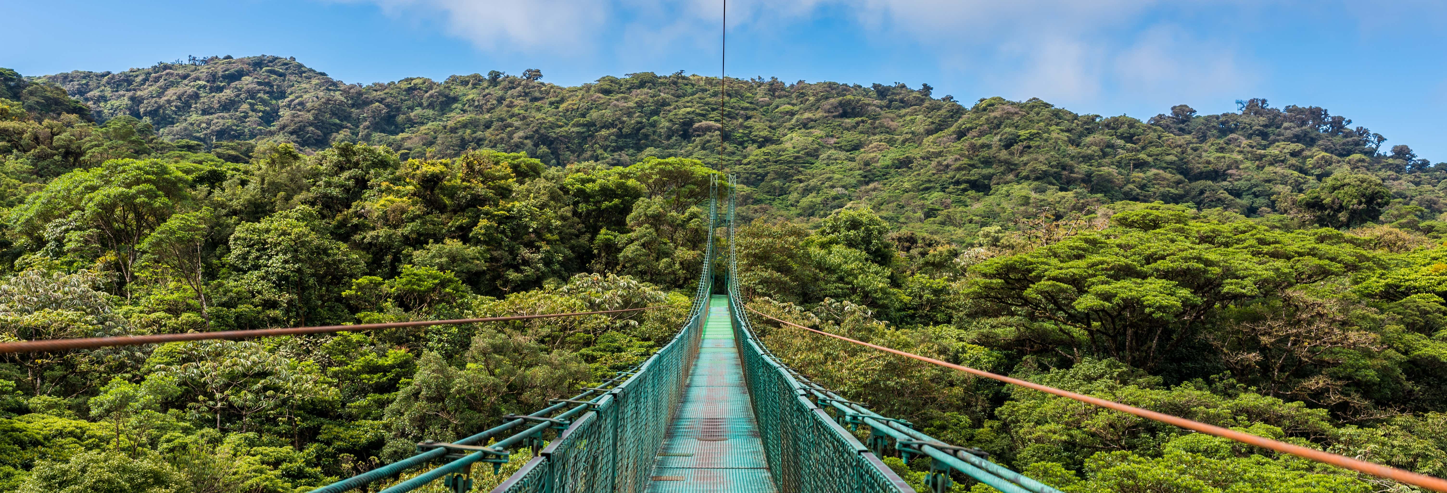 Excursión a los puentes colgantes de Monteverde + Serpentario desde San José