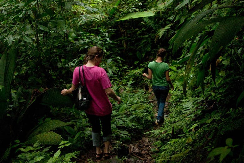 Exploring the jungle in the Braulio Carrillo National Park