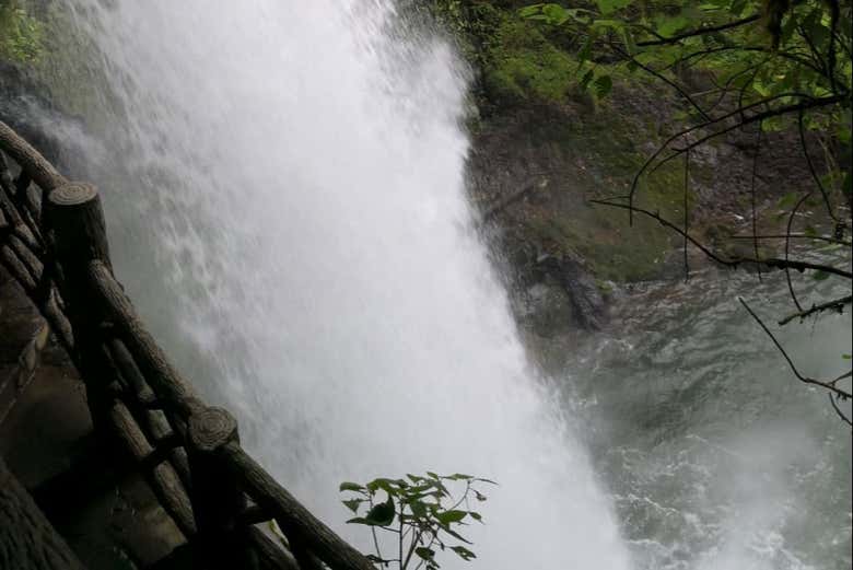La Paz Waterfall, Celeste River & Hot Springs Tour from San José