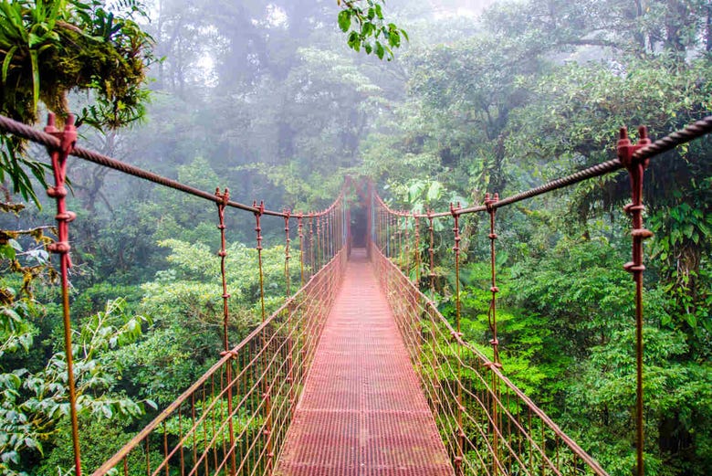 Puente colgante de Monteverde