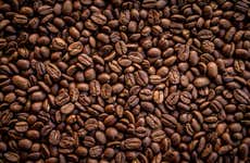 Tour do café por San Marcos de Tarrazú