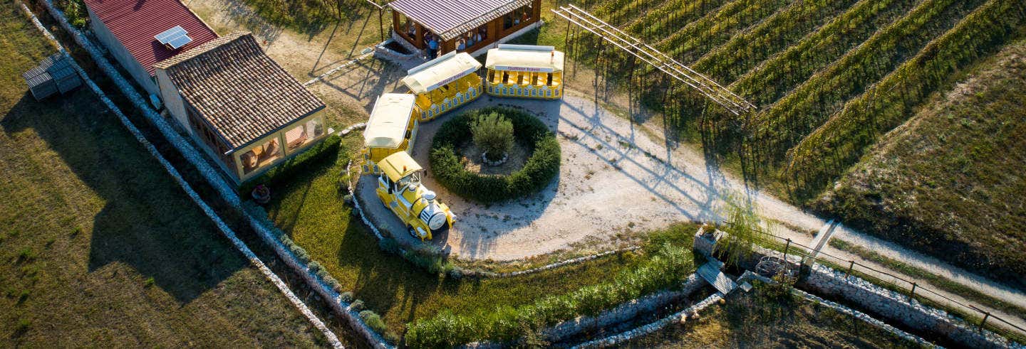 Excursion en train dans la vallée de Konavle + Dégustation de vin