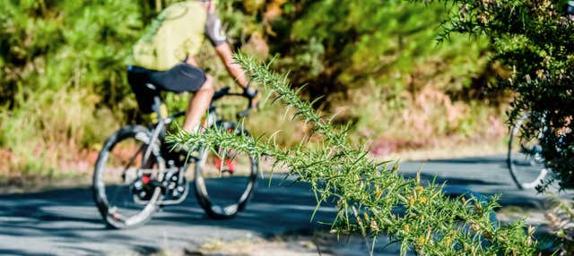 Lumbarda Bike & Wine Tasting Tour