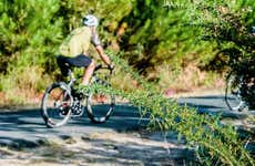 Excursão a Lumbarda de bicicleta + Degustação de vinho