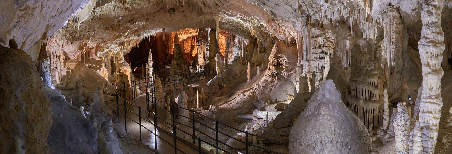 Escursione alle Grotte di Postumia e al Castel Lueghi
