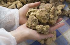 Food Tour of Istria