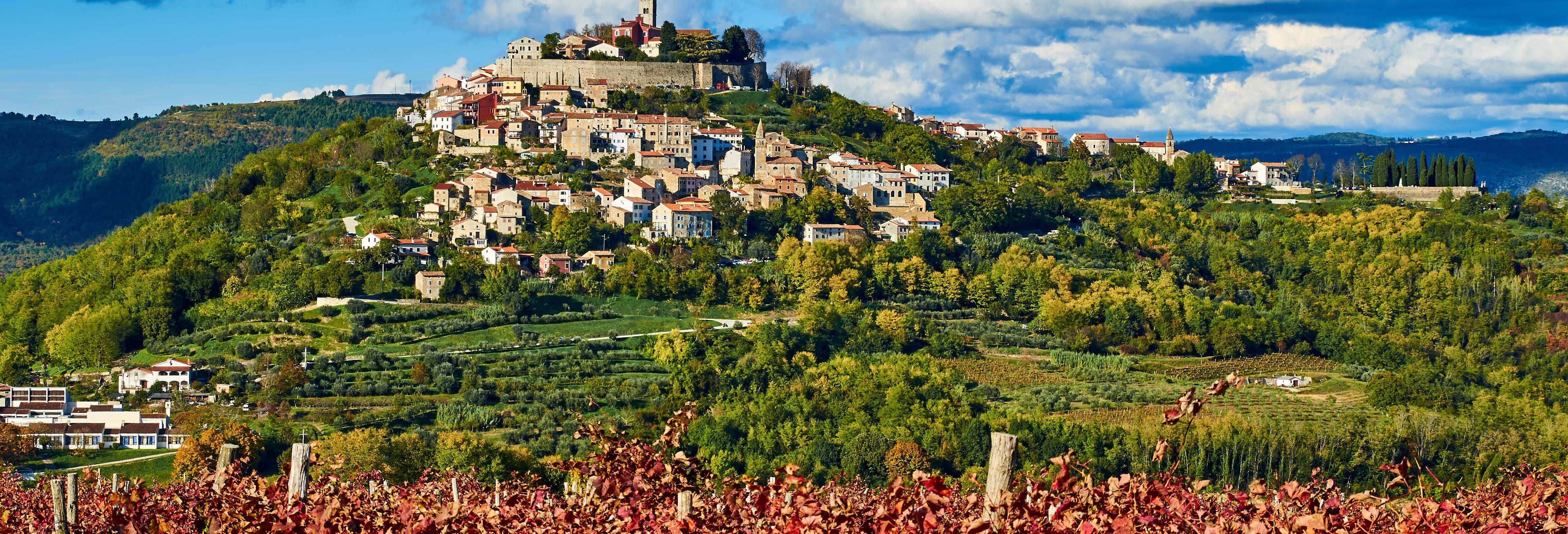 Tour gastronómico por Istria